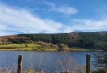 VIRUS KORONA DAN KITA