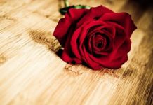 Ketika Tuhan Mengambil Milik Kepunyaannya