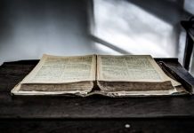 Pembaharuan Terjemahan Baru Alkitab Edisi 2