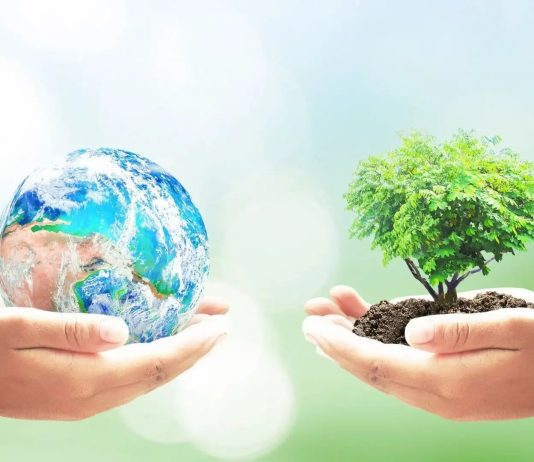 Hidup Secukupnya – Bumi Tertata